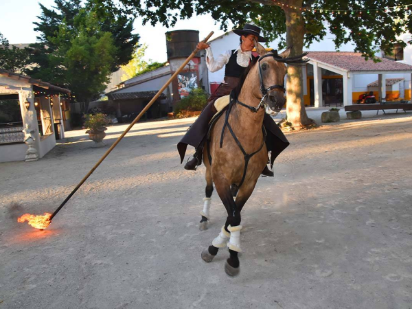 Le restaurant - Gipsy Beach - Arles - les meilleurs restaurant de ARLES